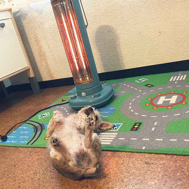 ohanaさんの実例写真