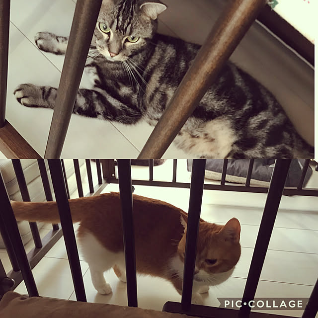KotarouKunさんの実例写真