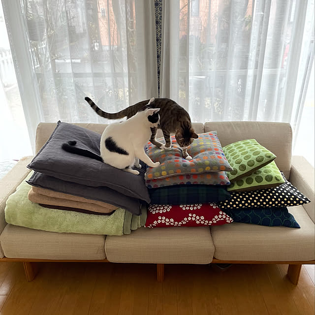 nobikoさんの部屋