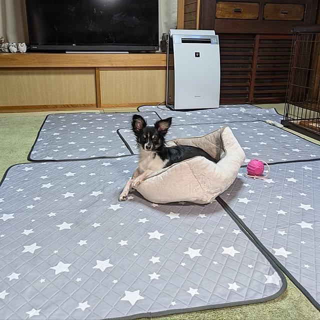 リビング/好きな眺め/古民家暮らし/築70年以上/いなか暮らし...などのインテリア実例 - 2025-01-21 12:11:47