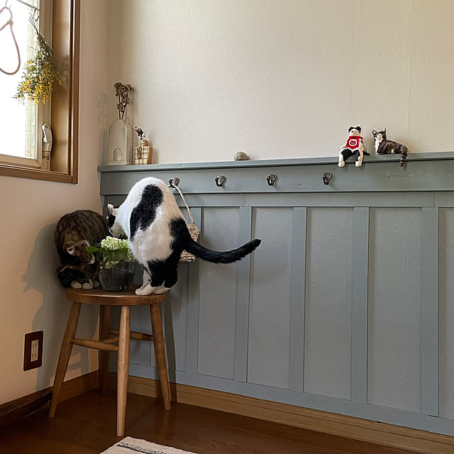 nobikoさんの部屋