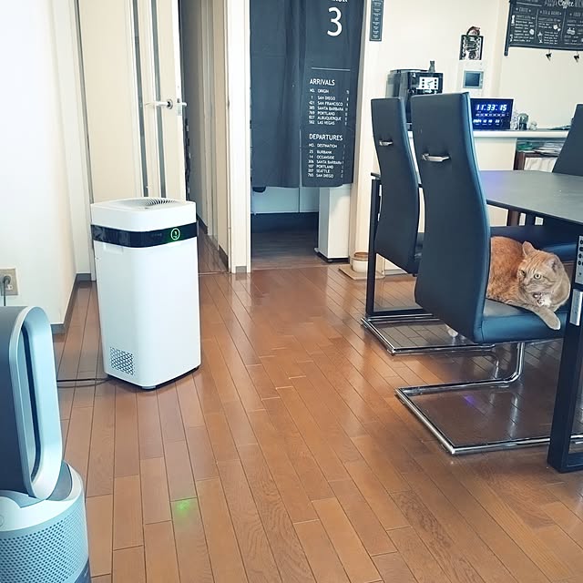 NOAHさんの実例写真