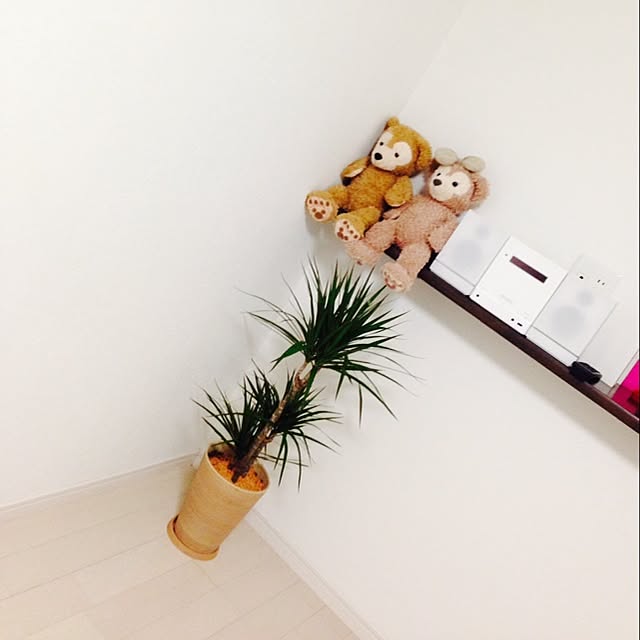 kurichipaさんの実例写真