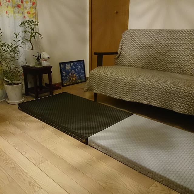 meiさんの実例写真