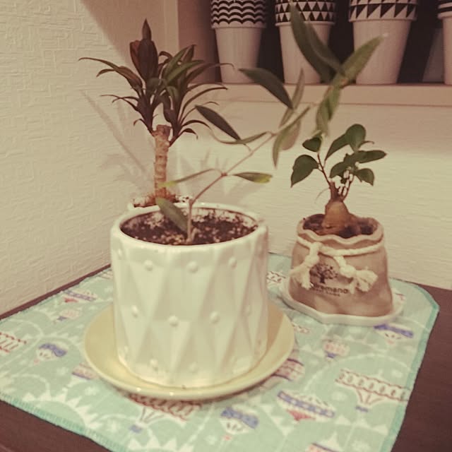 ayucong121さんの実例写真