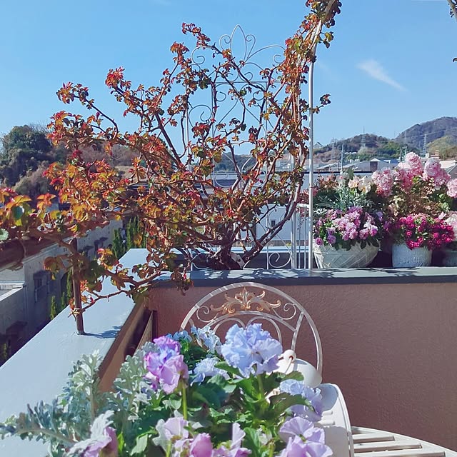 twinkle-butterfly38さんの実例写真