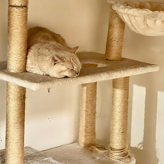 naokoさんの部屋