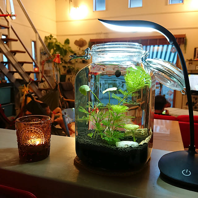 urchinさんの実例写真