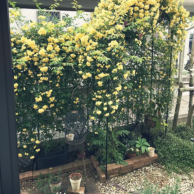 mi-さんの実例写真