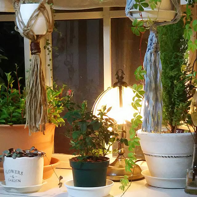 naopyiさんの実例写真