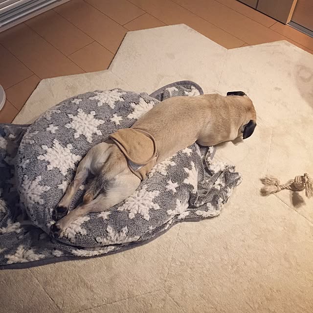 YUIさんの実例写真