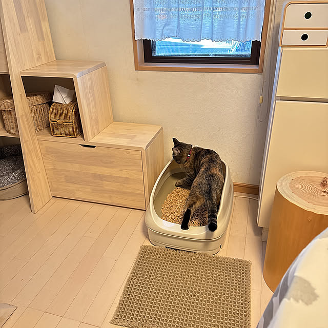 chinaさんの部屋