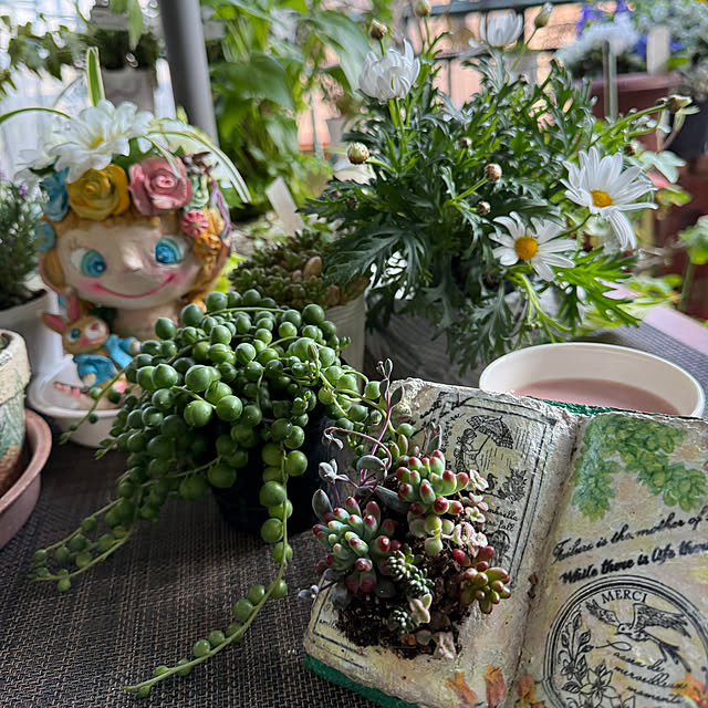 Aqettyさんの部屋