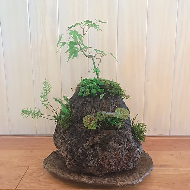 Sawawaさんの実例写真