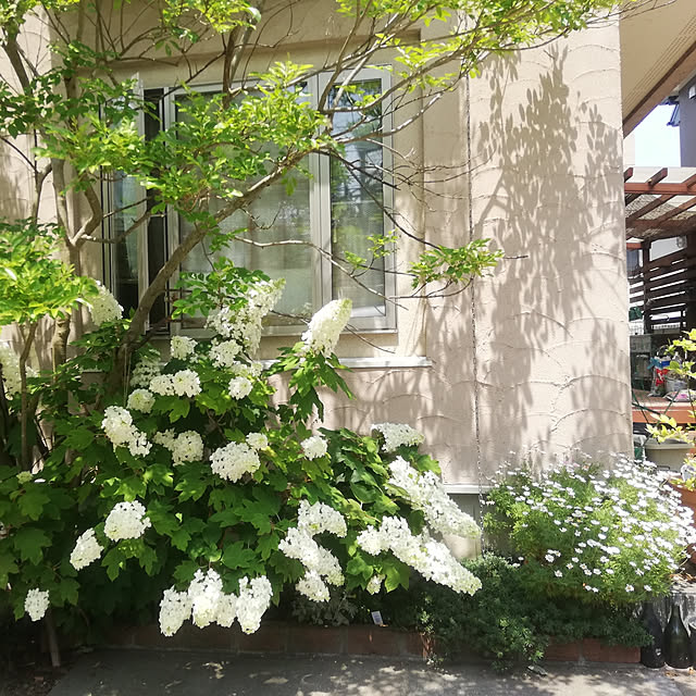 cropfun.shopさんの実例写真