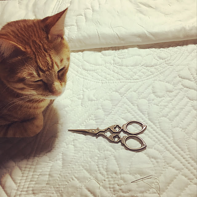 Miさんの実例写真