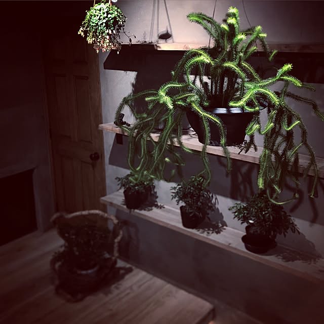 Junk_sweet_Garden_teftefさんの実例写真