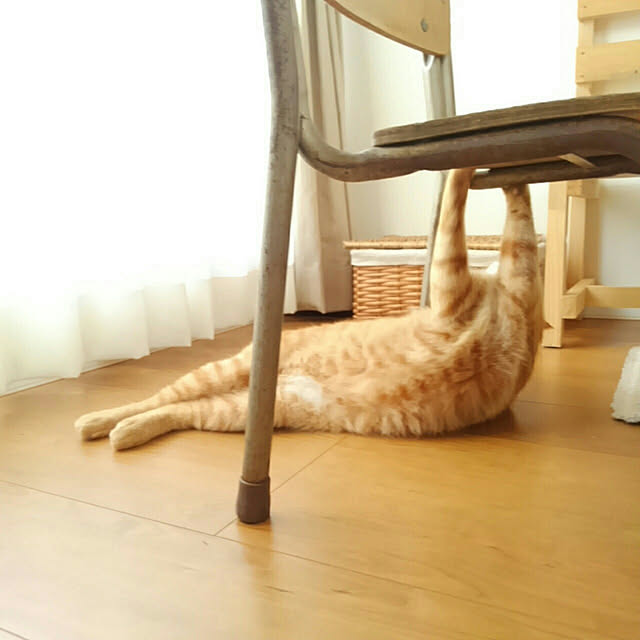 mayutan.さんの実例写真