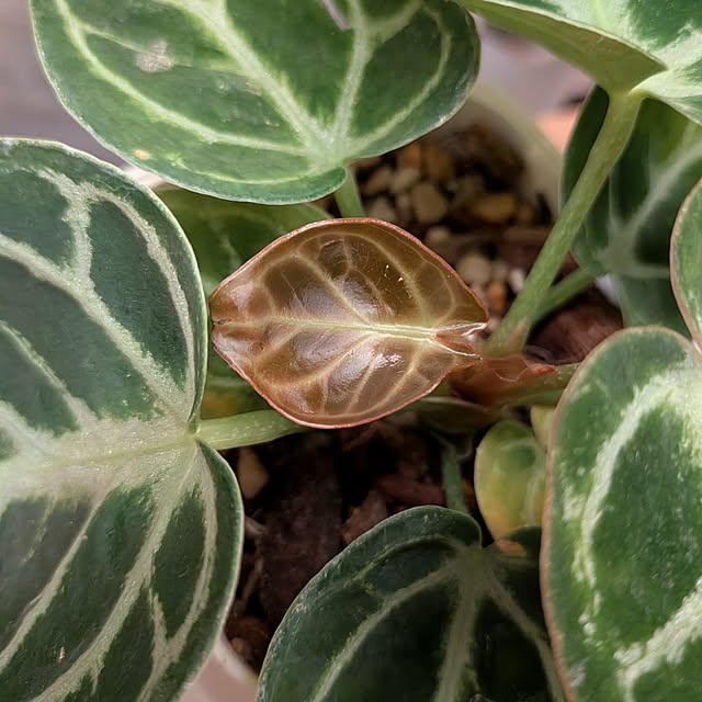 kolo92さんの部屋