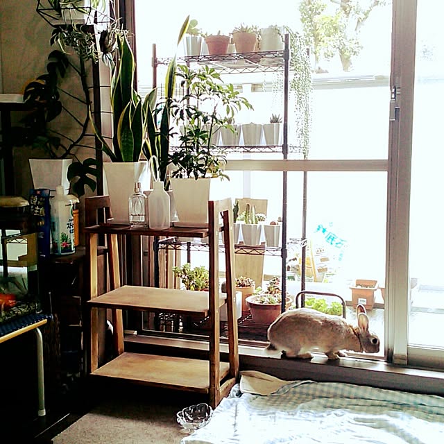 sachiko283さんの実例写真
