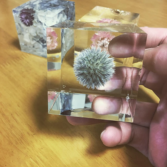 実例写真