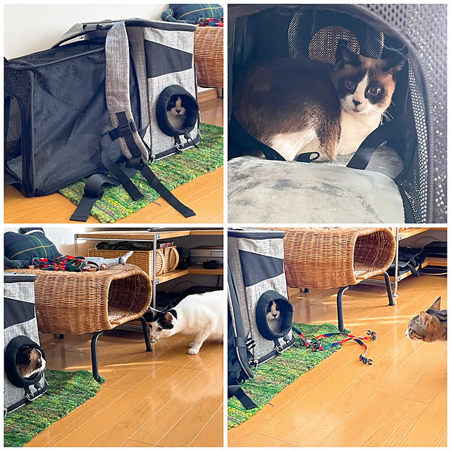 nobikoさんの実例写真
