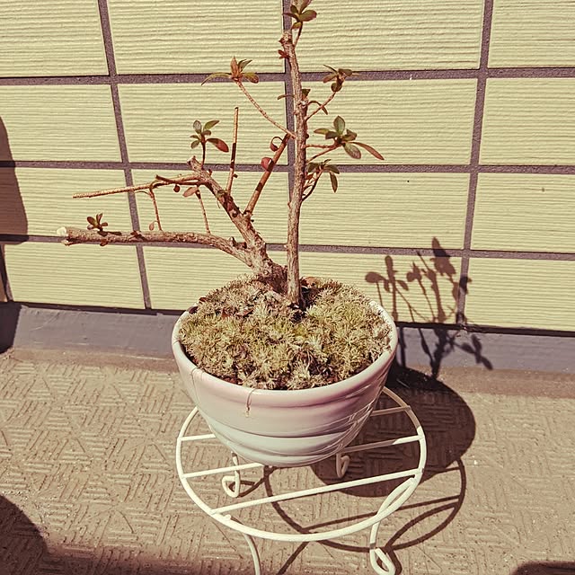 kogamiさんの部屋