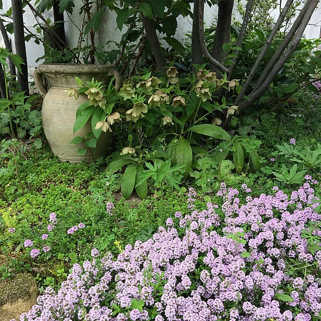 mipoさんの実例写真