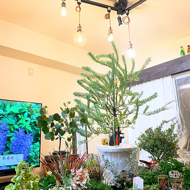 lindaさんの実例写真