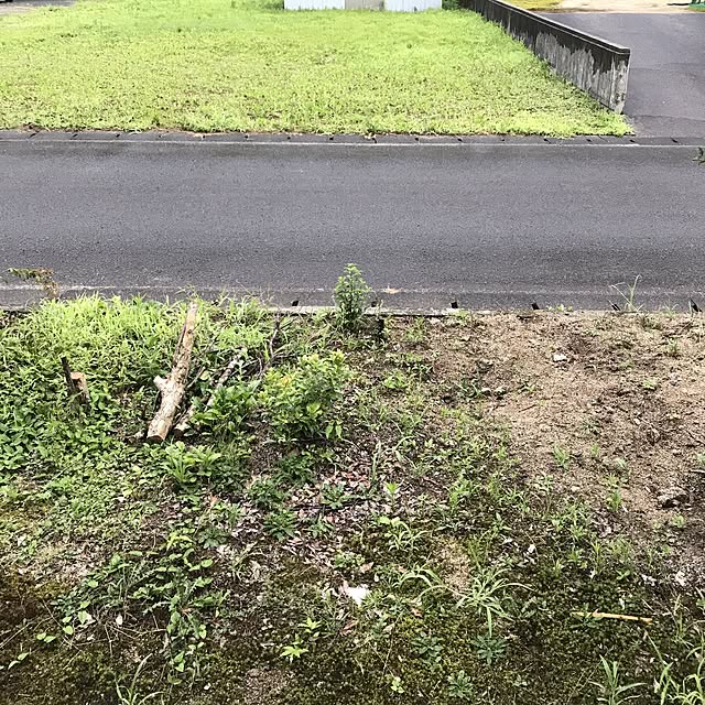 marukoさんの実例写真