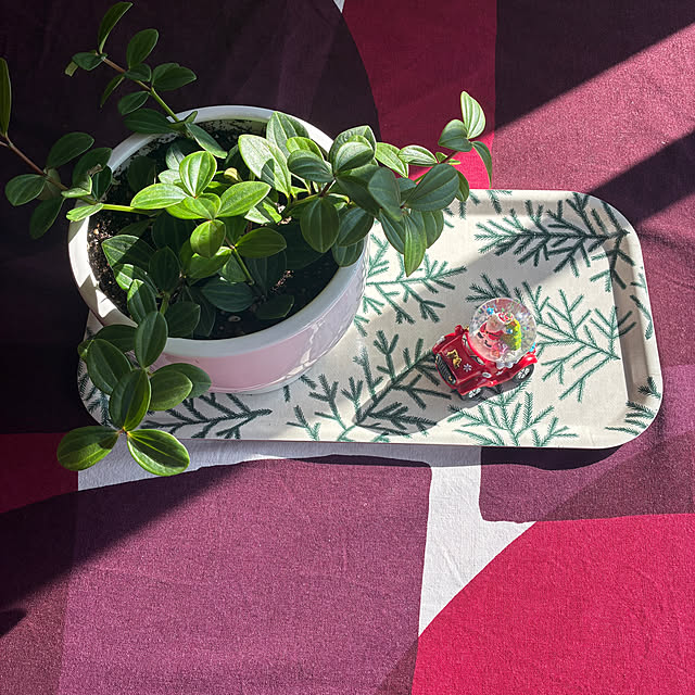 walking123さんの部屋