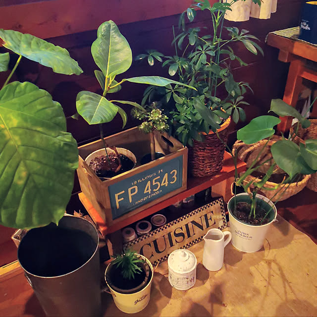 murasaki808さんの実例写真
