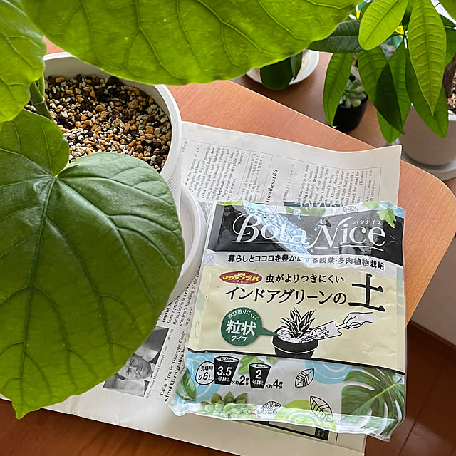 kawauso15さんの実例写真