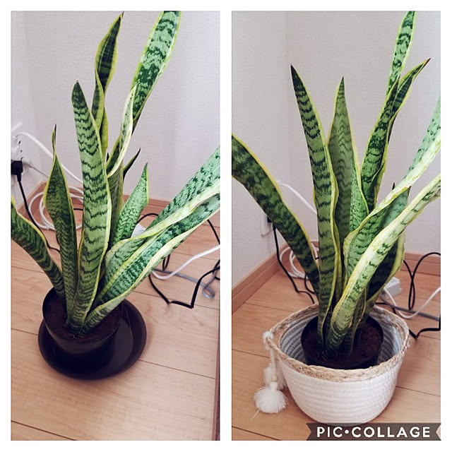 BLOOMさんの実例写真