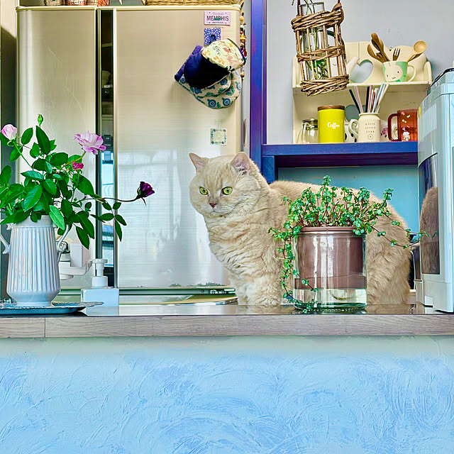 naokoさんの実例写真