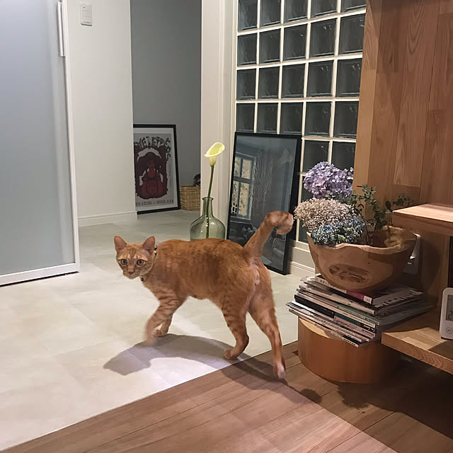 mtkさんの実例写真