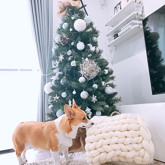 3ayuさんの実例写真