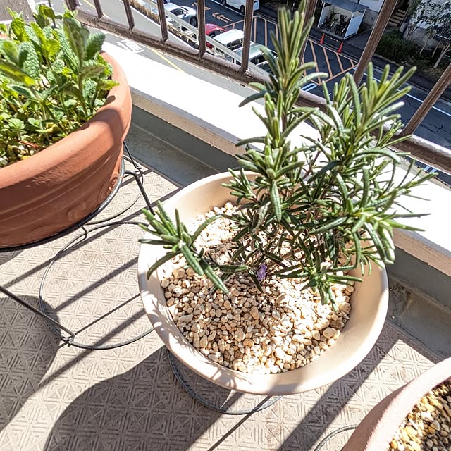 mi-saさんの実例写真