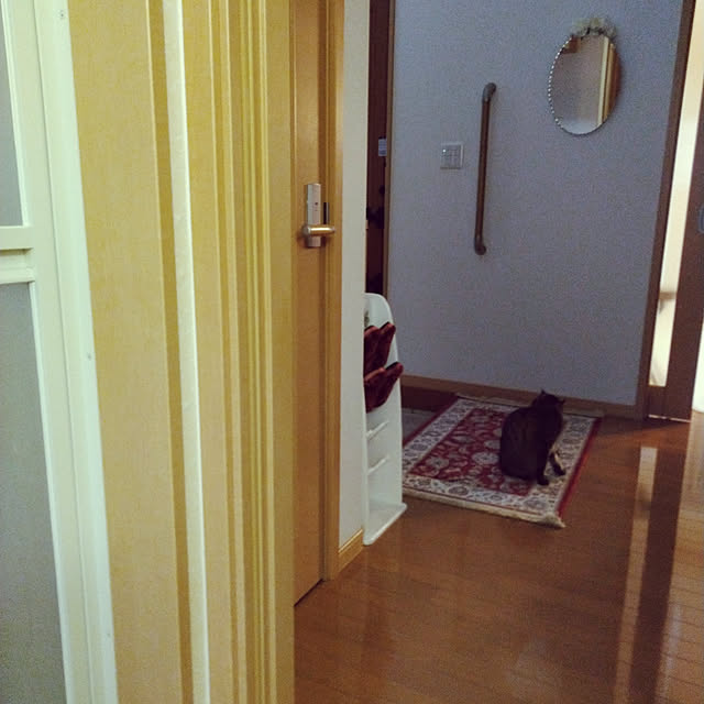 lilyさんの実例写真
