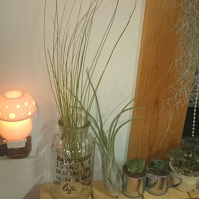cocomilkさんの実例写真