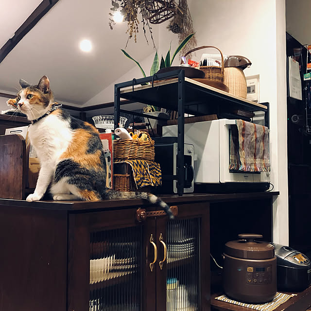 Maruさんの実例写真