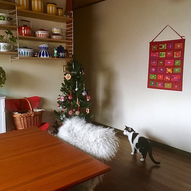 ramさんの実例写真