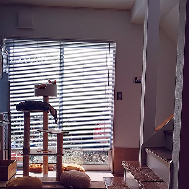 37さんの実例写真