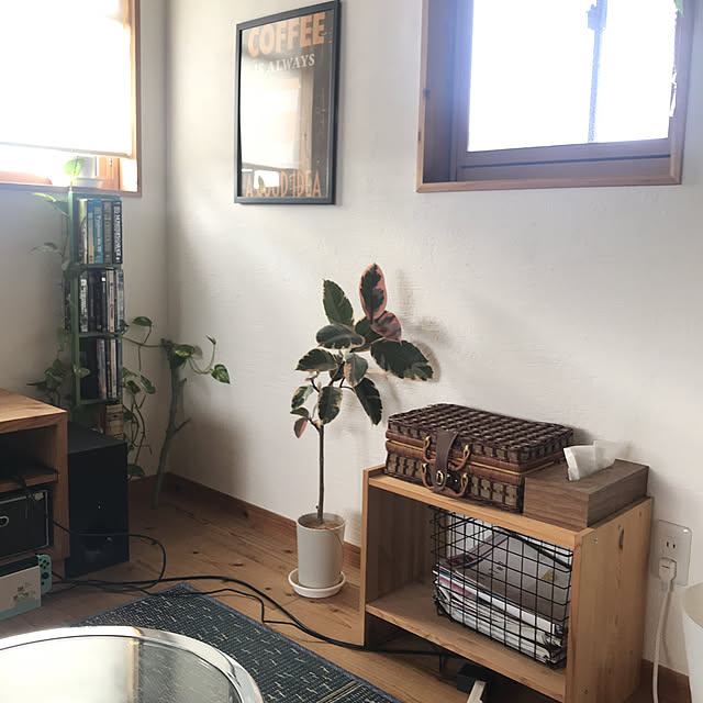 hachi1023さんの実例写真