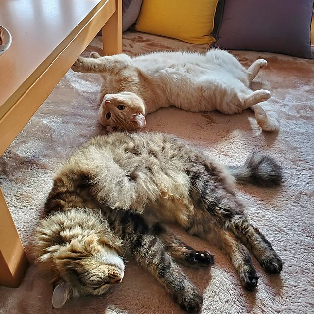 makoさんの部屋