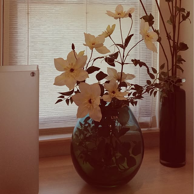 TNさんの実例写真