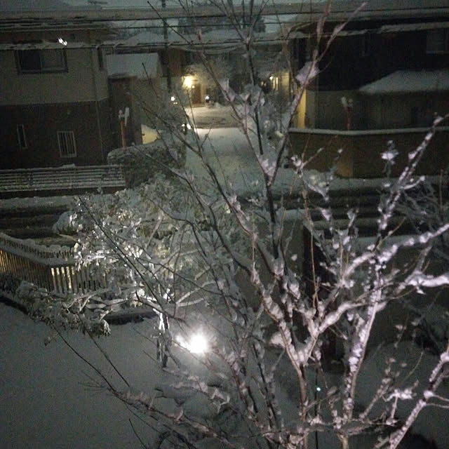 mutyukingさんの実例写真
