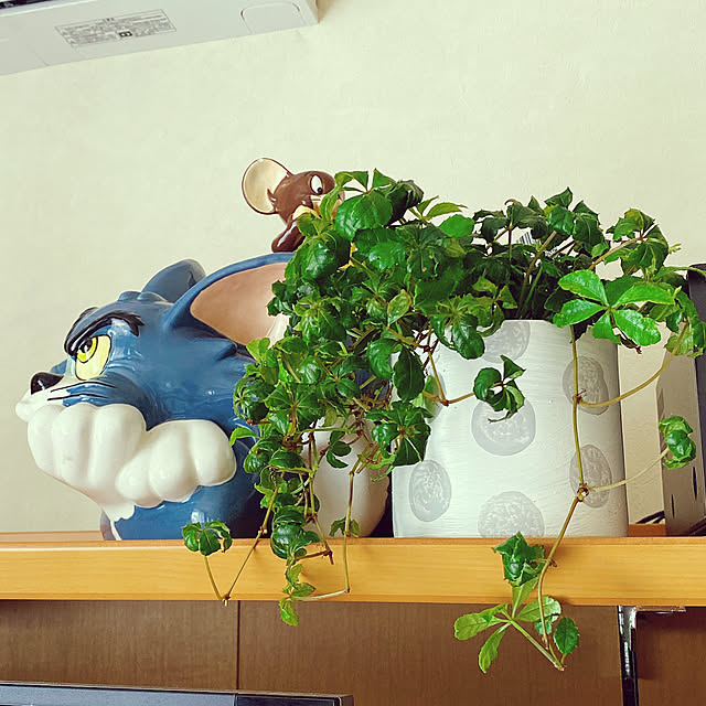 moolさんの実例写真