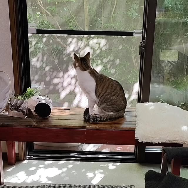 mori_6_12さんの部屋