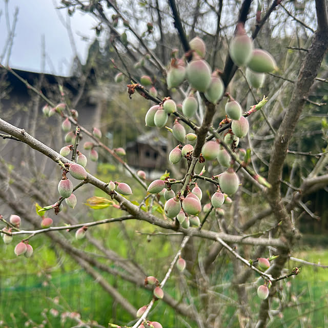 banbinaさんの部屋